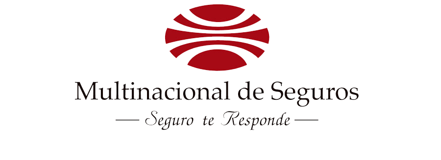 Logo de Seguros multinacional